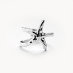 The Starfish